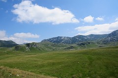 Parco Nazionale del Durmitor375DSC_3158